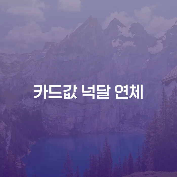 자영업자회생 개인파산 성공은