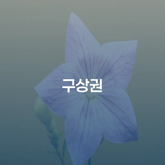 파산신청 신용회복 지식이