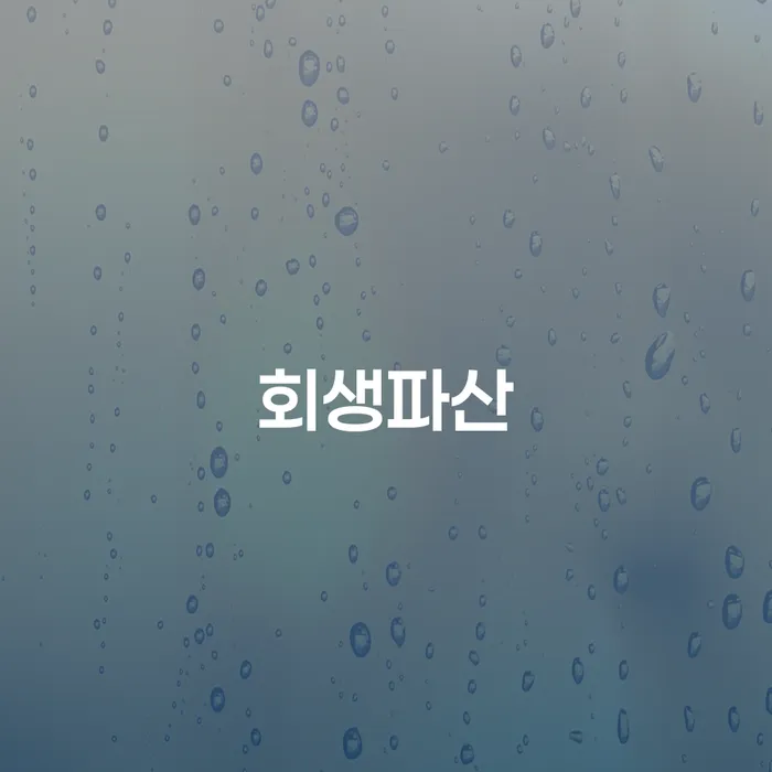개인회생 절차 카드빚 연체 문제를 해결