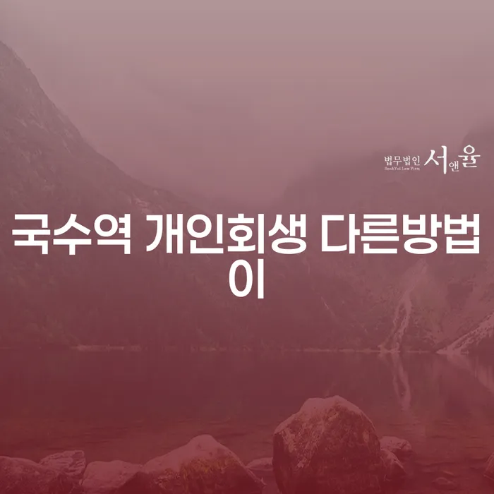 국수역 개인회생 다른방법이