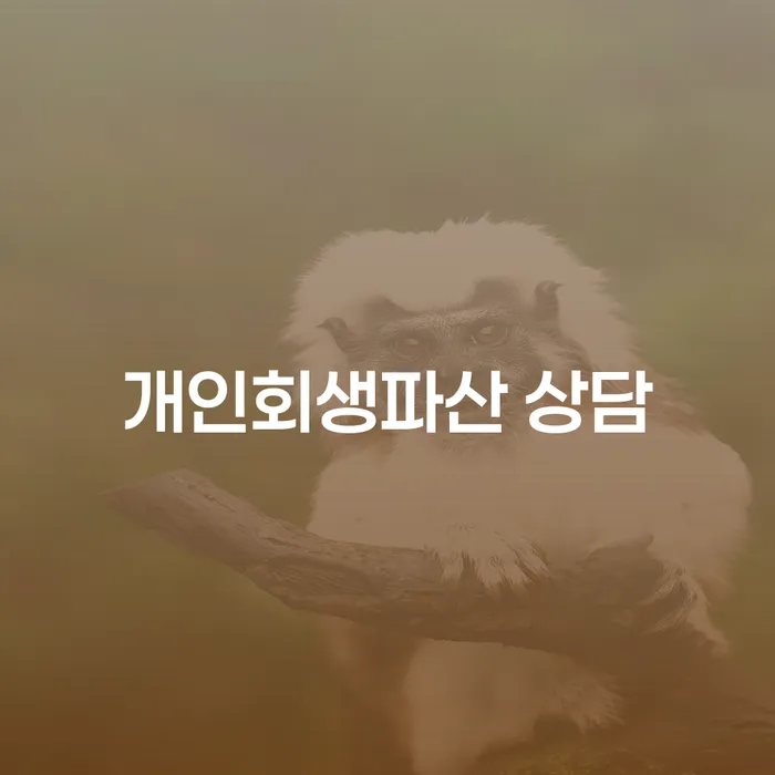 47살 직장인 4000만원 카드대출 연체, 개인회생 신청하는 게 좋을까요?