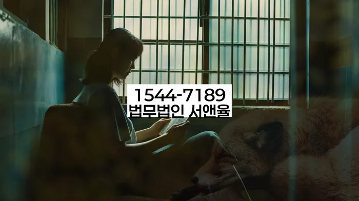 진해구 개인회생 정보