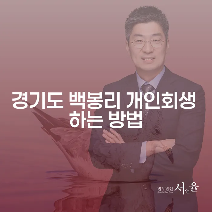 경기도 백봉리에서 개인회생을 성공적으로 진행하는 방법은?