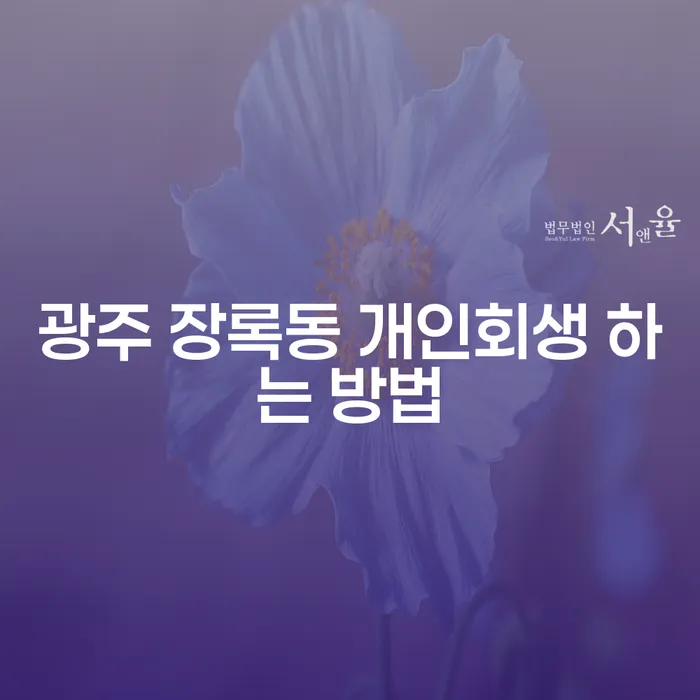 광주 장록동 개인회생 하는 방법을 알아보세요!