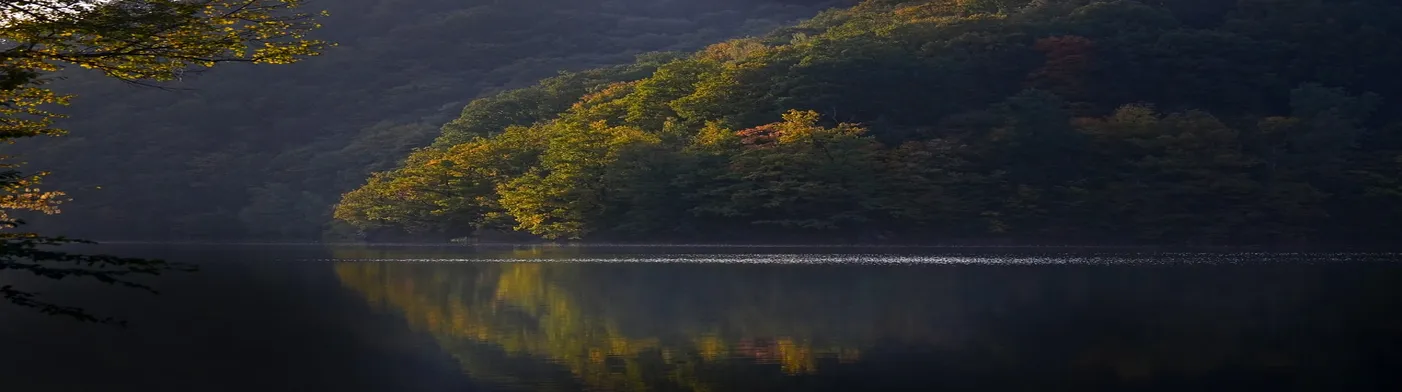 법무법인 서앤율